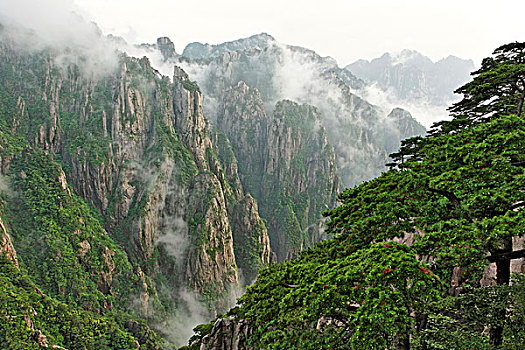 三座仑购物平台C1B8D97C5-18975